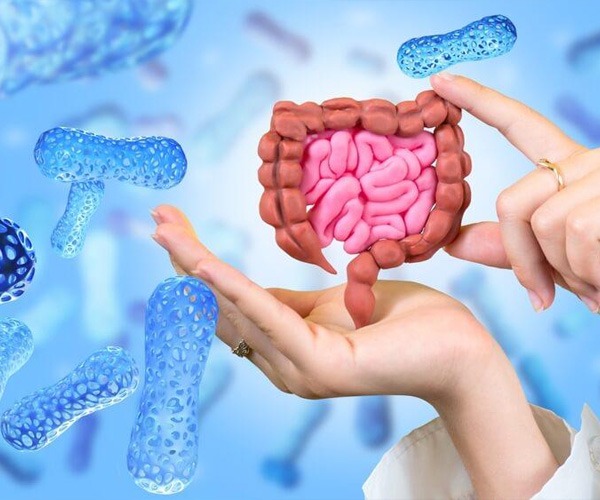 gut microbiome test dubai