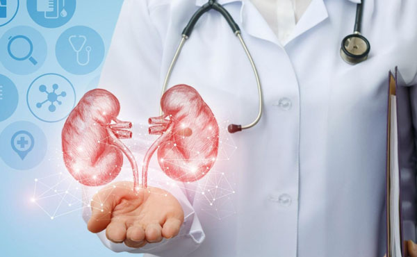 kidney function test UAE